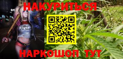 гашик Ирбит