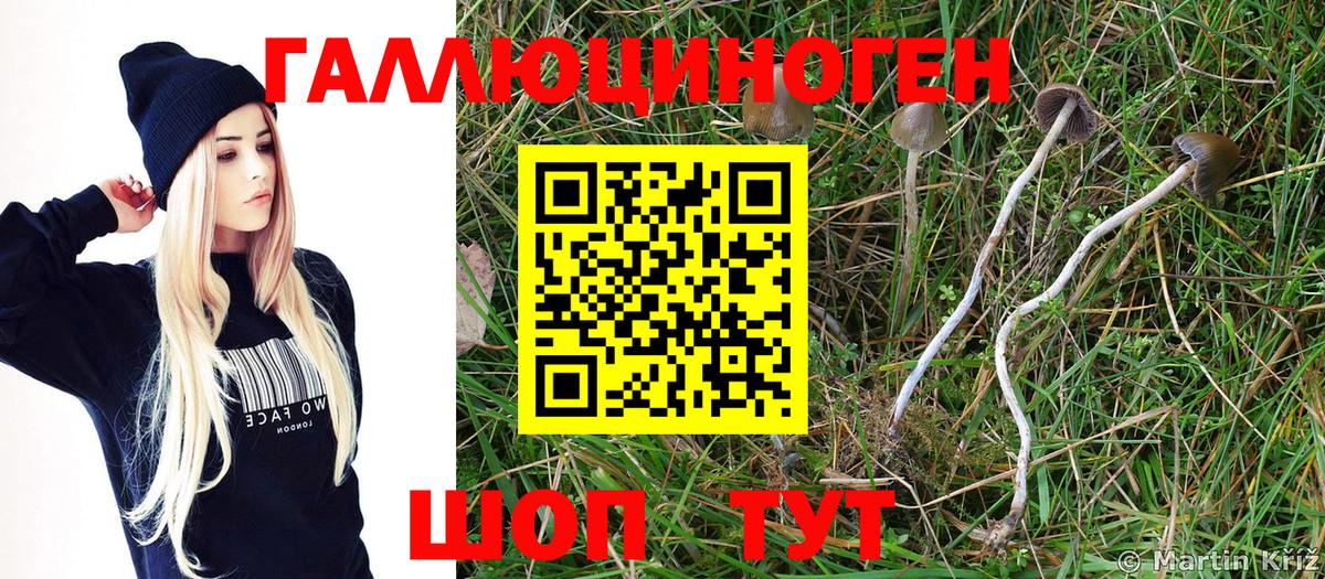 Псилоцибиновые грибы GOLDEN TEACHER  Вход с VPN  Крымск 